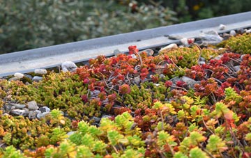 the cost of Landshipping Quay green roof installation