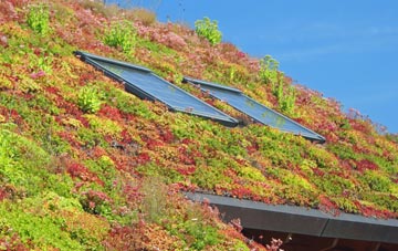 Landshipping Quay living roof systems
