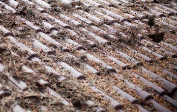Landshipping Quay roof cleaning companies