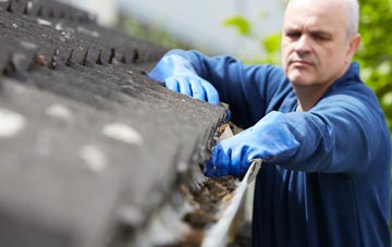 cleaning and inspecting Landshipping Quay roofs