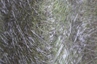 Landshipping Quay fibreglass roof work